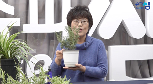 송파구가 송파 유튜브 채널 ‘송파TV’, ‘송파쌤’을 통해 송파 환경아카데미 프로그램을 온라인으로 제공한다. 사진은 공기정화 식물을 소개하는 강좌 모습.