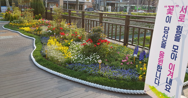 서울시는 3월말까지 120개 노선에 걸이화분 4만2000개와 테마화단 487개소로 ‘봄꽃거리’를 조성한다. 사진은 성북구 보문로의 테마화단 모습.