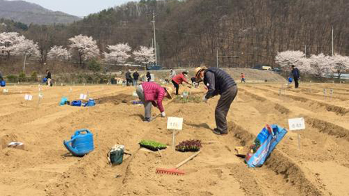 서울시는 팔당호 주변 등 총 15개 농장에 6800구획의 ‘함께서울 친환경농장’을 4월10일부터 개장한다. 사진은 시민들이 친환경농장에서 작물을 재배하는 모습.