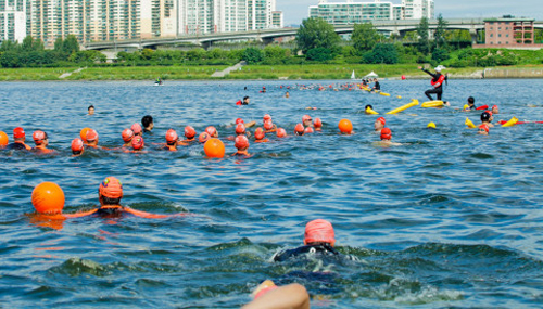 송파구수영연맹은 한강 잠실대교 남단에서 북단으로 수영해 반환점을 돌아오는 1800m 코스의 ‘한강크로스 스위밍챌린지’를 8월 개최한다. 사진은 지난 대회 모습.